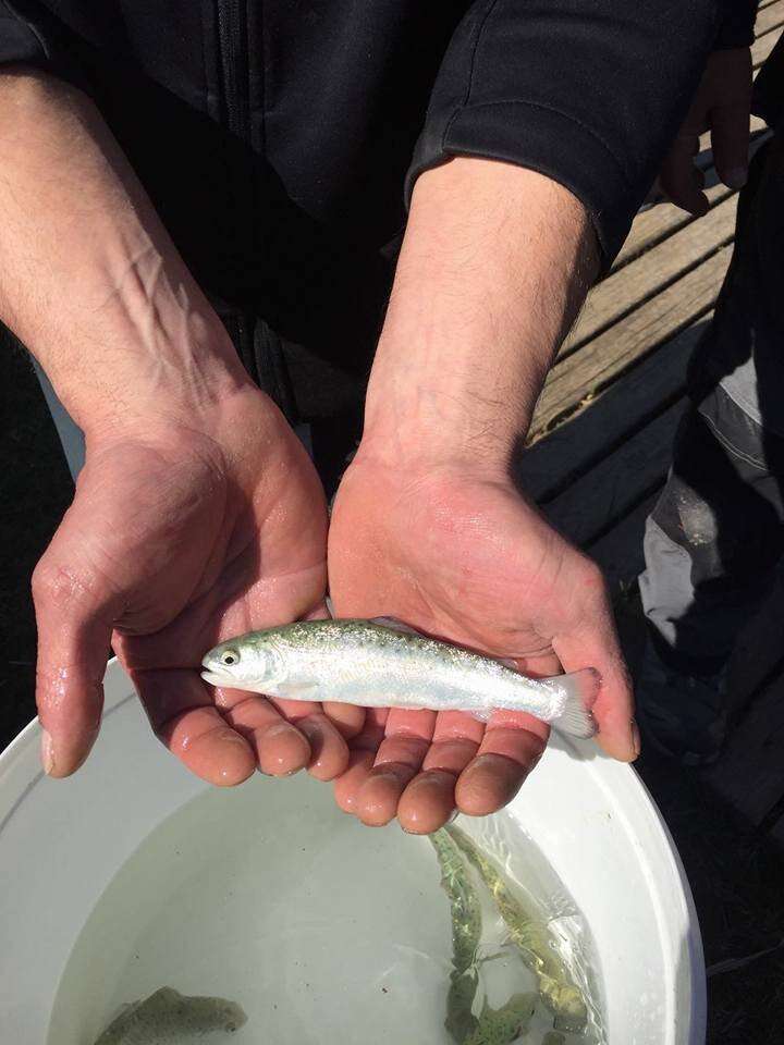 17458276_193307557837622_3169650410805546008_n 17458276_193307557837622_3169650410805546008_n