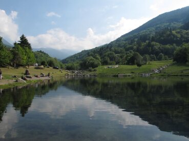 7cf8a33e-8e42-49ed-b86f-90e2b19db7e5 7cf8a33e-8e42-49ed-b86f-90e2b19db7e5