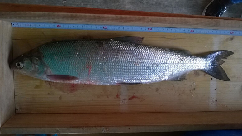 cde9043c-0ba9-4684-971d-fb2de4618a8d cde9043c-0ba9-4684-971d-fb2de4618a8d