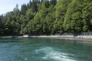 b6ac40cc-6e67-45d2-85e2-b5345ebf9a8c b6ac40cc-6e67-45d2-85e2-b5345ebf9a8c