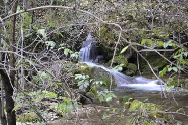 75815120-b1dc-4950-bf0b-279785aa2912 75815120-b1dc-4950-bf0b-279785aa2912