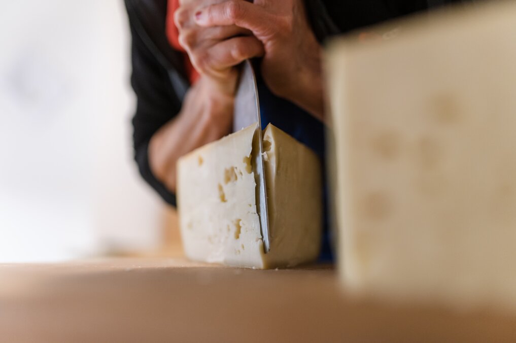 formaggio - prodotti tipici - archivio apt val di sole - estate 2019 - ©tommaso prugnola.jpeg