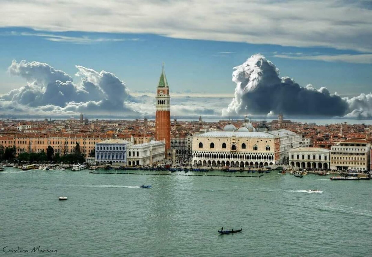 91bb0e3f-778f-4456-b8a1-82325eb8722e