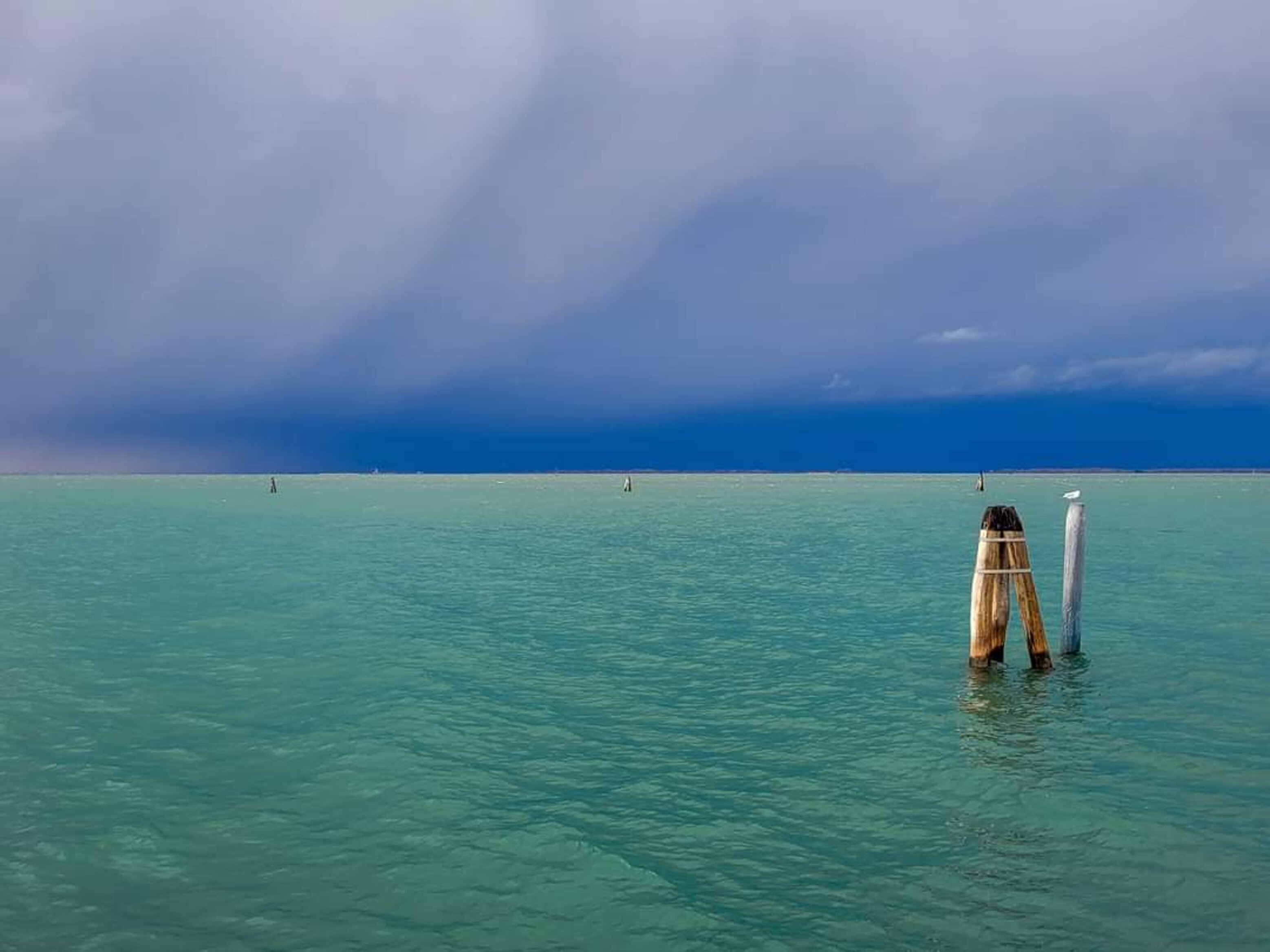 6daf05b4-1d44-4f96-87da-2098c11434f6