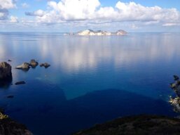 c96c28bd-5017-4cf5-a85d-8ef9da8c4780