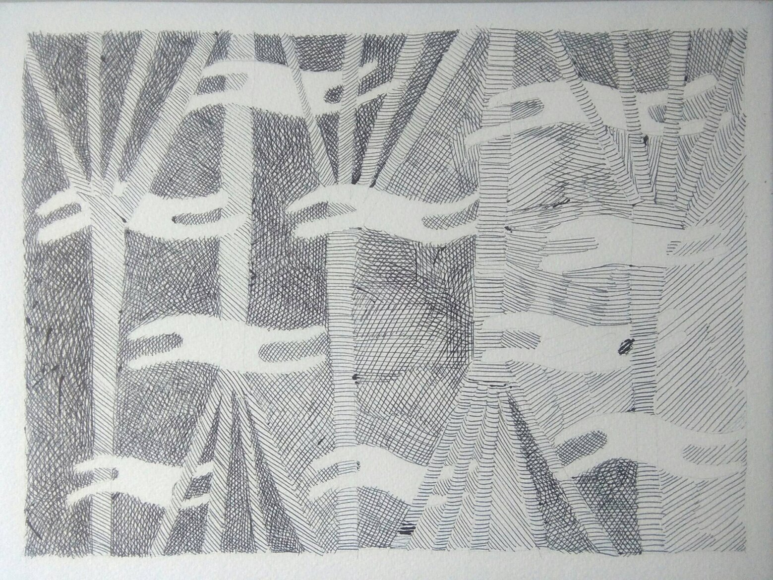 corpi vegetali corpi celesti, 15x21.jpeg