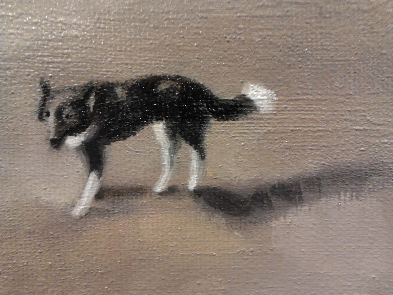 particolare cane.jpeg