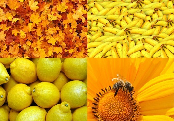 E della personalità Gialla cosa possiamo dire? (metodo 4Colors®)