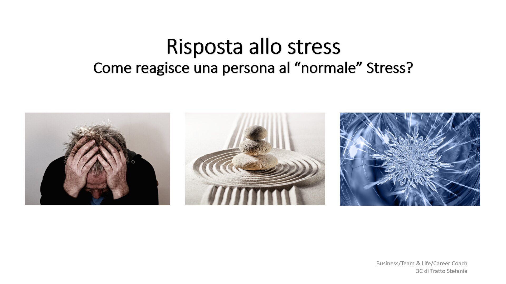 METAPROGRAMMA EMOTIVO, EQUILIBRATO E RAZIONALE