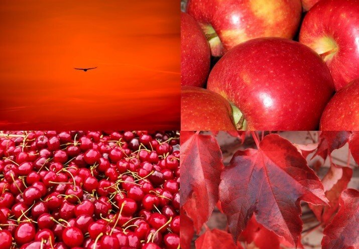 Cosa possiamo dire della personalità Rossa? (metodo 4Colors®)