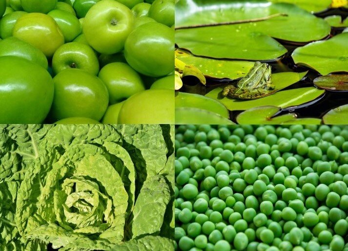 E poi, della personalità Verde, cosa possiamo dire? (metodo 4Colors®)