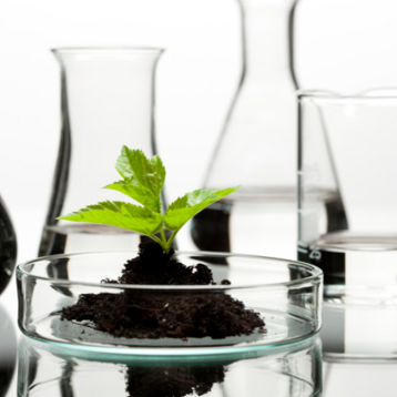 729188d3-9e71-4f2e-90d4-372e114bb4a5