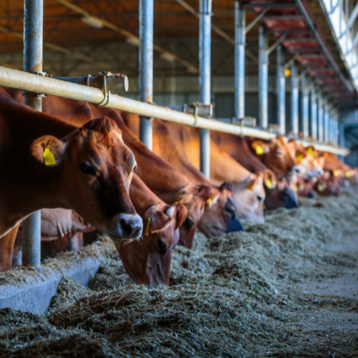 8cc16fe6-f8bb-426f-82fe-5ad794738c38