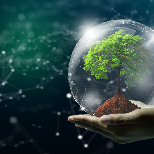 48c8845a-9336-45f1-b541-aad6166eaa2c