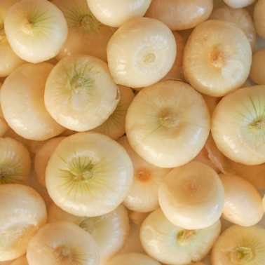 3e0cfc9c-9b22-4eee-9671-d7166adad934