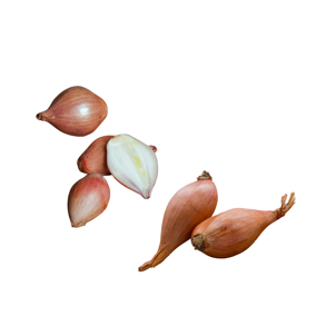 51480e23-6388-446f-973e-c06d807cadab