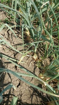 bf3e9ea8-ec3f-475b-aa07-746221371b88