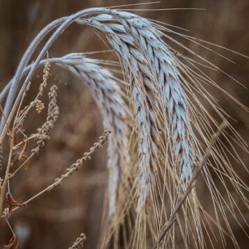 45eda4e9-5eb5-448c-bfe7-29b5511e880a