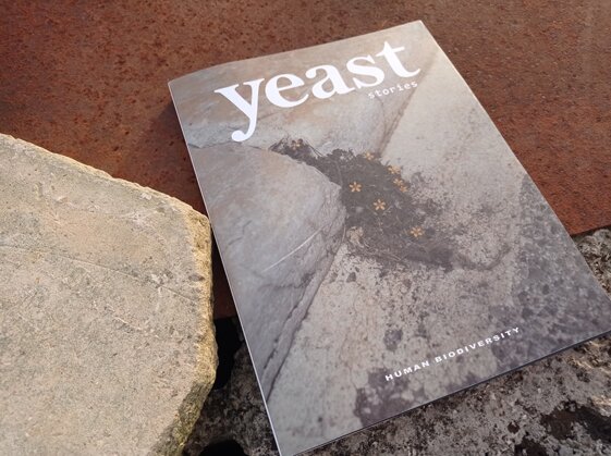 4864d4cb-ccf1-46cd-9972-b679acbd5a7b