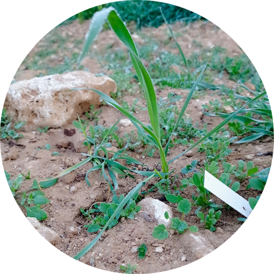 f569d920-5fc1-42fe-a1f5-ad8ae75cb923