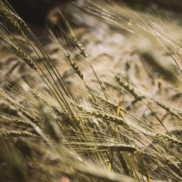 78178e4b-28a4-4c16-bcec-d7d173d4f79e