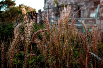 fcf72e0c-2678-4c78-8e5a-5c5f1d0c0a66