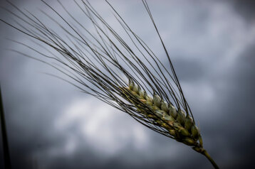 b68e3abf-a998-4536-bc3c-265ffa678933