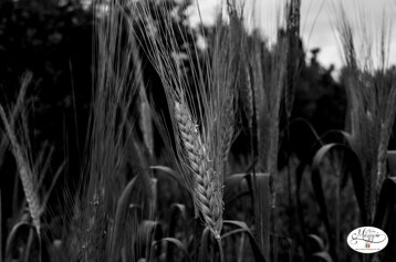 2196500f-cd53-4557-9e15-3772d44e285c