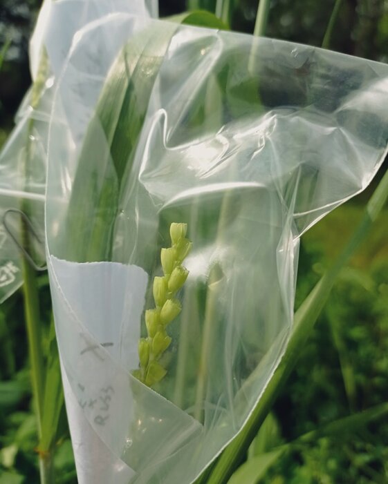 cba91ccb-5d0a-4add-a26c-27cee119714f