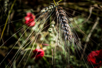 3d6d23aa-ce3a-43e8-9aae-e10e0aca1444