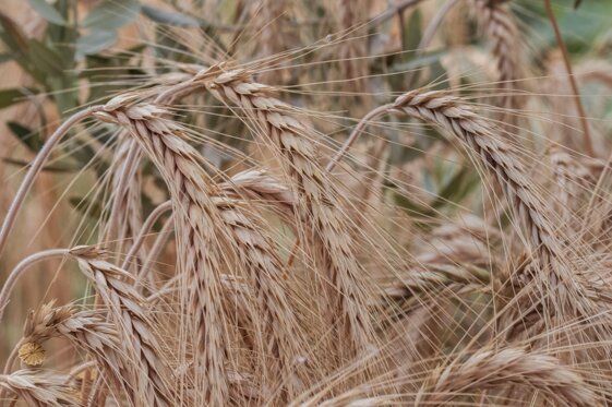 709a512b-41eb-4961-a644-a5d1a8dbe5bb