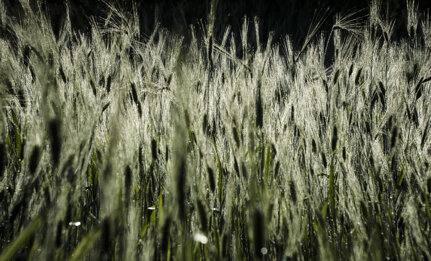 354bbe4d-5ae8-4384-9f1a-9b83ffbe885b