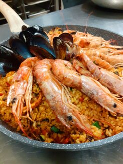 0eb02feb-d5bf-43ca-ba76-8689625b59a9 0eb02feb-d5bf-43ca-ba76-8689625b59a9