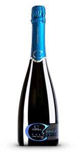 vino-spumante-grecanico-brut-igt-terre-sic-bio