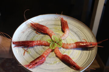 ee8a2e82-45ec-46c0-9f18-0327dc1a8b63 ee8a2e82-45ec-46c0-9f18-0327dc1a8b63