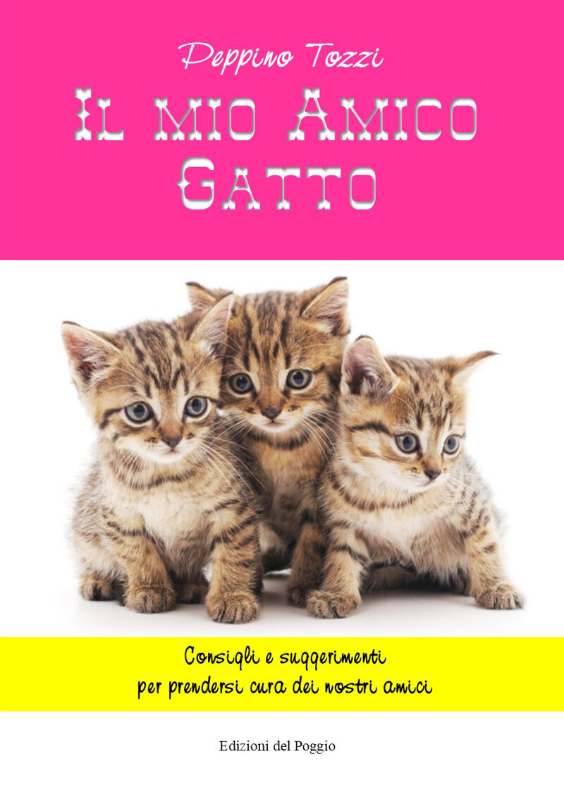 il-mio-amico-gatto