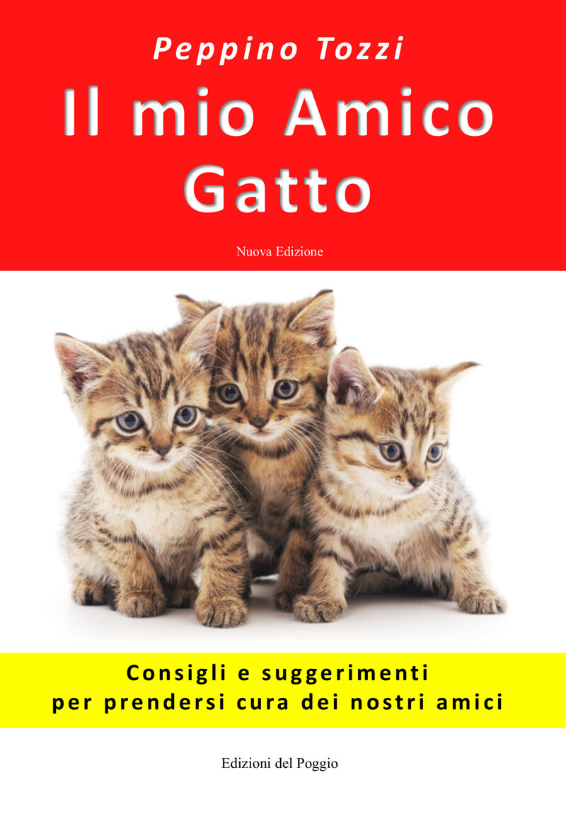 il-mio-amico-gatto