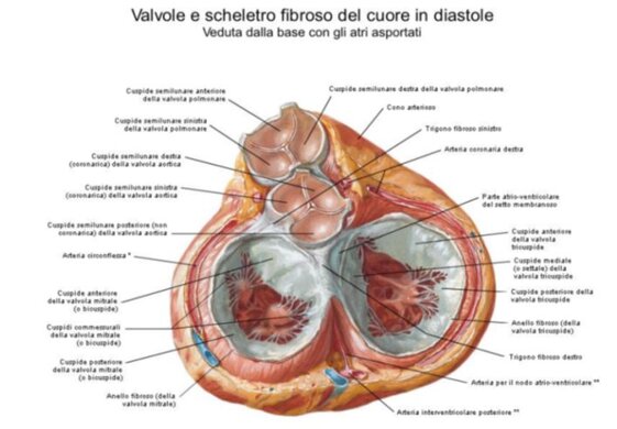 8cbe7465-25c8-4422-8e03-73f011eb125d