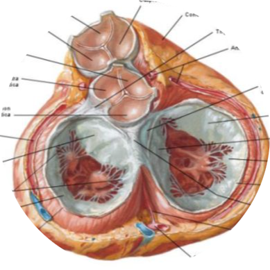 9d8fdf1b-478a-4153-8b4b-4864921ebc5a