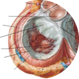 73c80e70-a7a2-4466-b508-4cacddc1d557