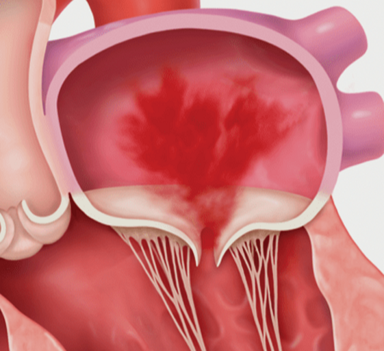 30f71205-dfbd-4dc2-b66e-95690de0e88d