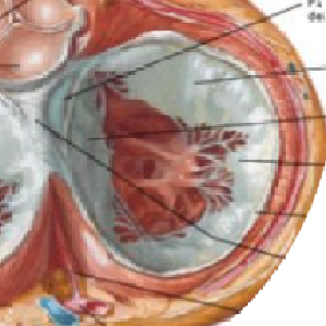 8d8343ff-8989-408c-8b43-30c2dd315e95