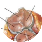 1971ca6f-ec1e-4ab5-8693-83777fedcc83