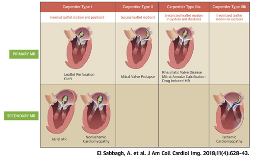 c1fb9e48-51d7-46d8-85cb-ede458ac034f