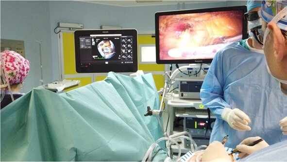 69a76108-0b89-486f-a5a1-df38c9511e54