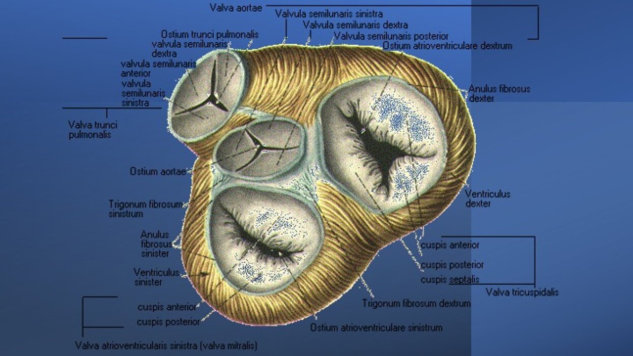 e1135f5b-d9d9-4ec5-be3a-8009df89bfd9
