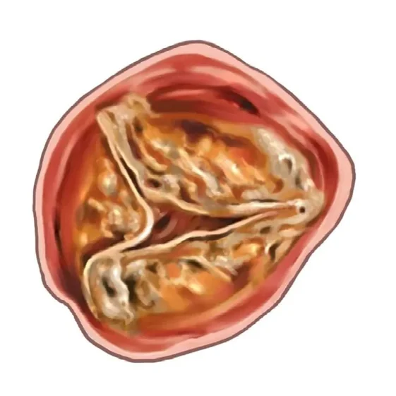 e64c01b5-12b9-47d0-b35a-98d1a31dc2b6