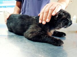 f388664c-f527-45fa-855f-3f5652b00ca3 f388664c-f527-45fa-855f-3f5652b00ca3