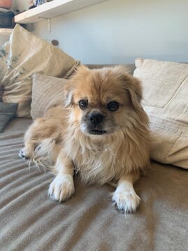 ca39d9e6-f33d-4eb8-97c8-5ce0b2f83330 ca39d9e6-f33d-4eb8-97c8-5ce0b2f83330