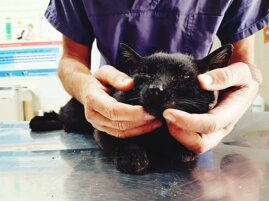 eb881173-8861-4cf4-a2fc-d47488f763ca